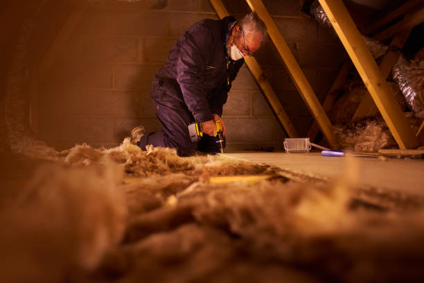 Professional Insulation Contractor in Peoria Heights, IL